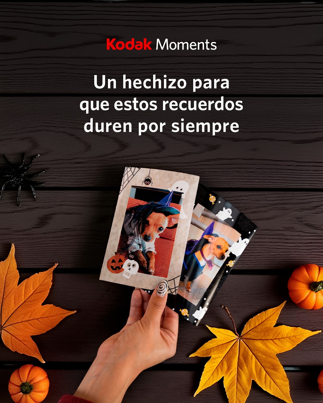 Kodak equipo 4